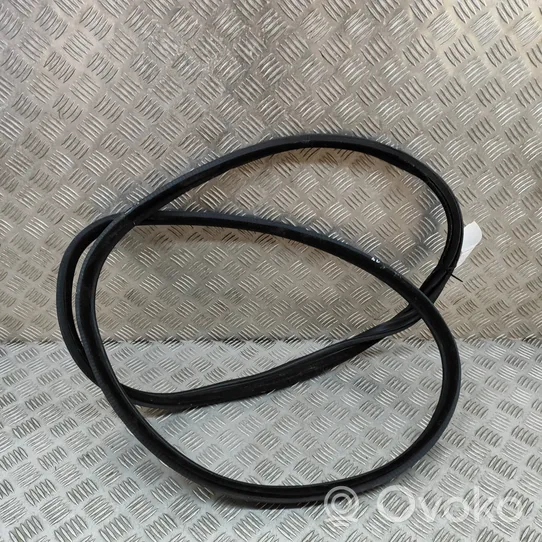 BMW 3 GT F34 Rubber seal front coupe door 7385025