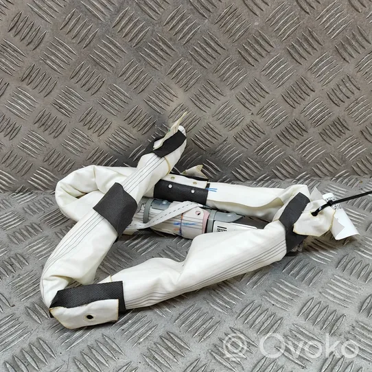 Tesla Model X Airbag del techo 103675600E