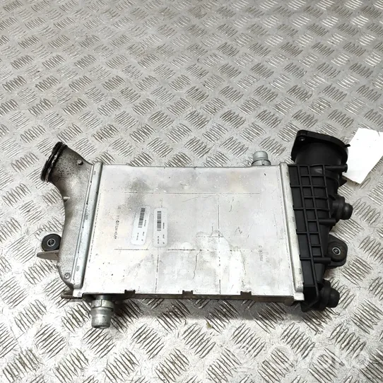 Mercedes-Benz E W213 Starpdzesētāja radiators A6420900414