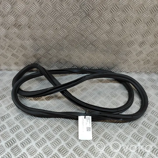 BMW 5 G30 G31 Rubber seal front coupe door 7337000