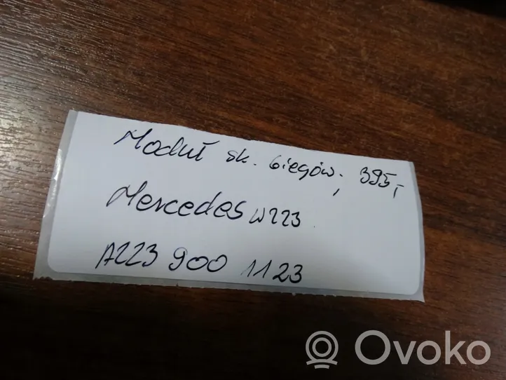 Mercedes-Benz S W223 Unité de commande / module ECU à répartition de couple 