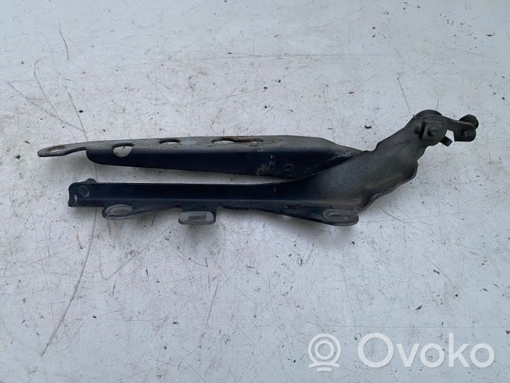 Volvo S80 Cerniere del vano motore/cofano 