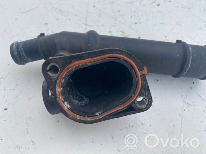 Volkswagen Golf V Termostato/alloggiamento del termostato 03G121132B