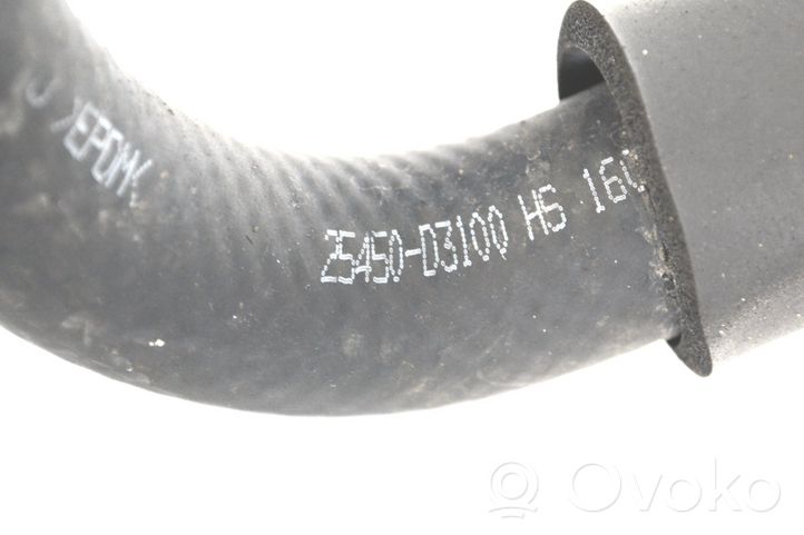 KIA Sportage Tube d'admission d'air 160128