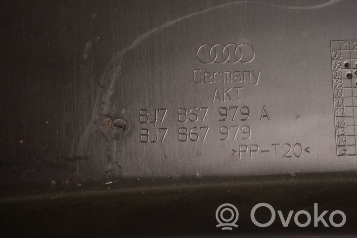 Audi TT TTS Mk2 Moldura de la puerta trasera 8K7867979