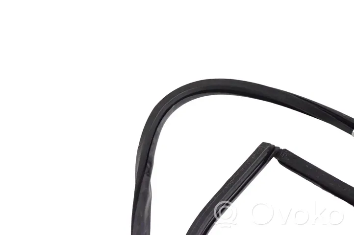 Lexus GS 300 350 430 450H Rubber seal rear door 