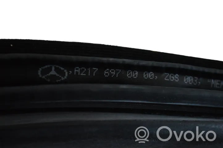 Mercedes-Benz S C217 Guarnizione in gomma portiera anteriore (sulla carrozzeria) A2176970000