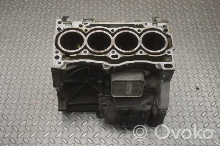 Volkswagen Polo V 6R Blok silnika 04E117021C