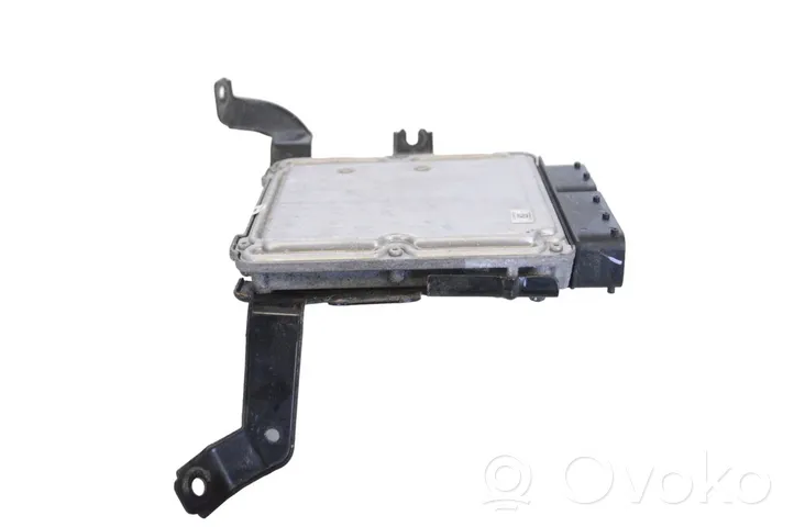 Hyundai Santa Fe Sterownik / Moduł ECU 391012F300