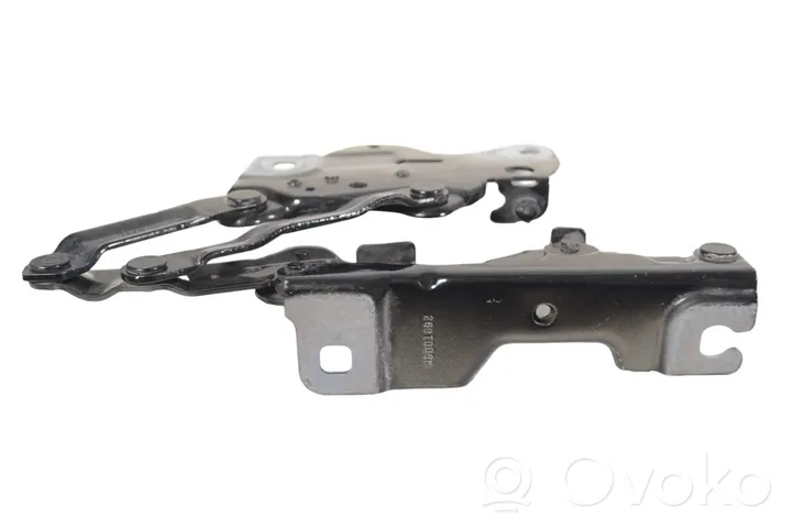 BMW X7 G07 Engine bonnet/hood hinges 7418201