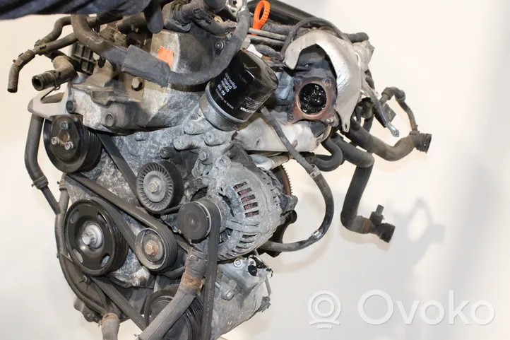 Skoda Octavia Mk2 (1Z) Silnik / Komplet CAX