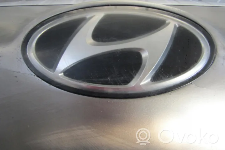 Hyundai Ioniq Priekinis bamperis 11069547671