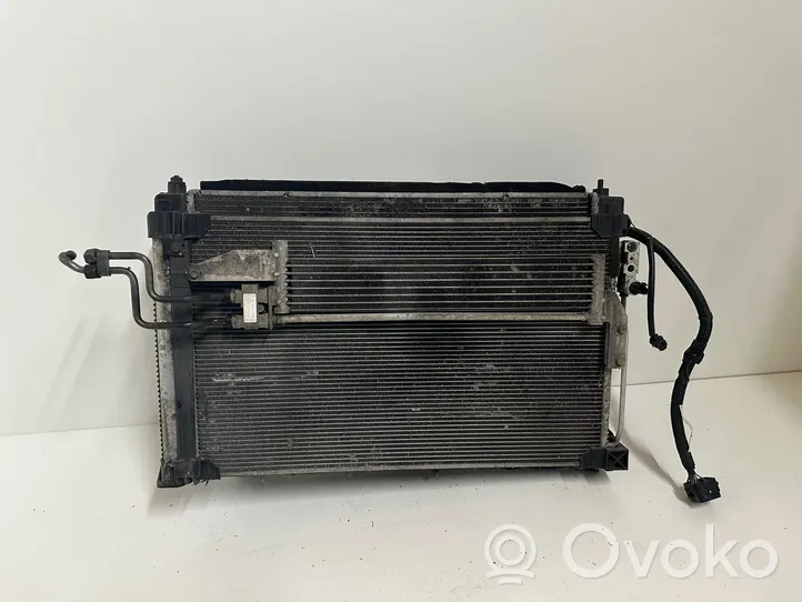 Infiniti Q50 Kit Radiateur 8E0880207