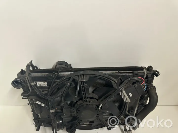 Infiniti Q50 Set del radiatore 8E0880207