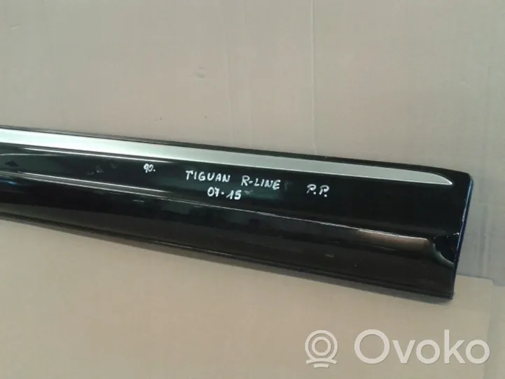 Volkswagen Tiguan Front door trim (molding) 