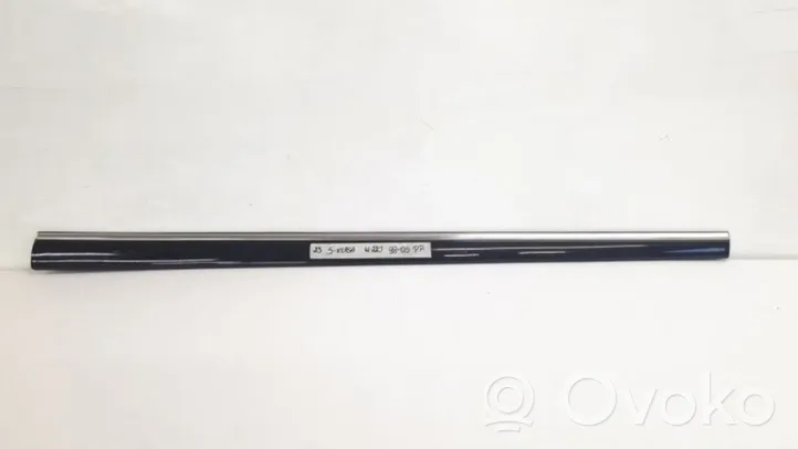 Mercedes-Benz S W220 Front door trim (molding) 