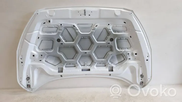 Ford Focus Engine bonnet/hood 