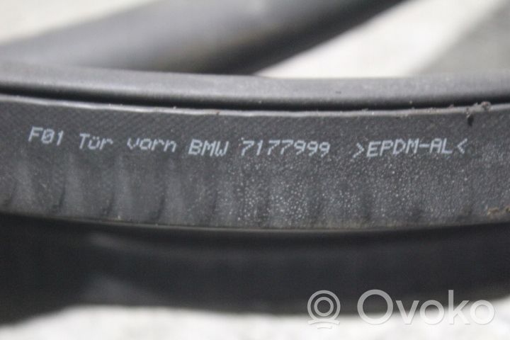 BMW 7 F01 F02 F03 F04 Guarnizione in gomma portiera anteriore 7177999