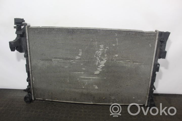 Opel Vivaro Coolant radiator D7R061TT