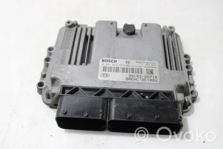 KIA Ceed Galios (ECU) modulis 0281013569