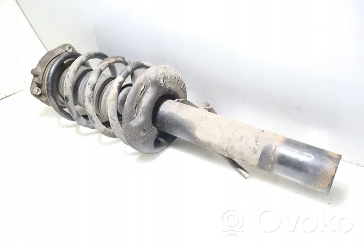 Seat Toledo III (5P) Front shock absorber with coil spring 