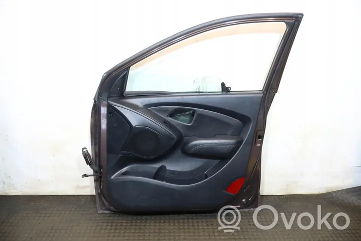 Hyundai ix 55 Front door 