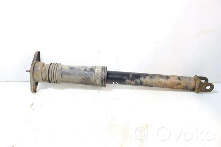 Hyundai ix 55 Rear shock absorber/damper 