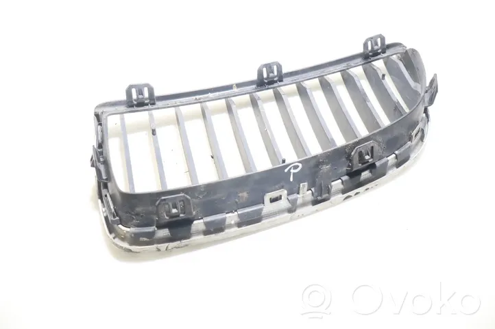 BMW 3 E90 E91 Front grill 