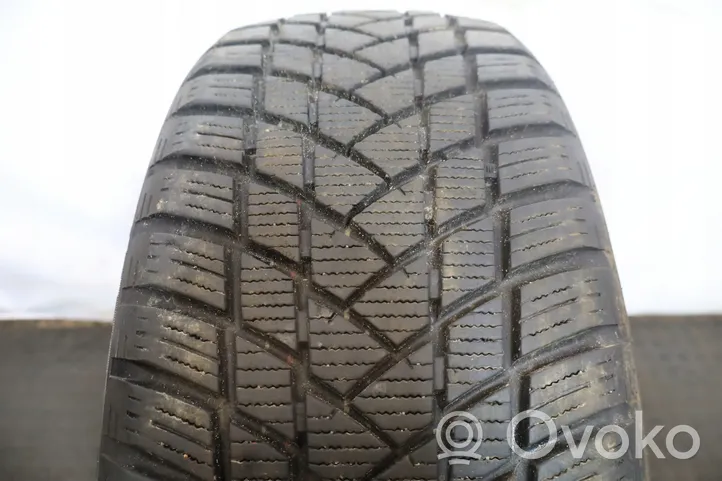 Volkswagen PASSAT B5 R16 winter tire 