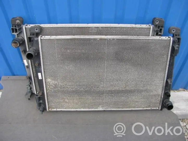 Fiat Punto (199) Radiateur de refroidissement 557041360