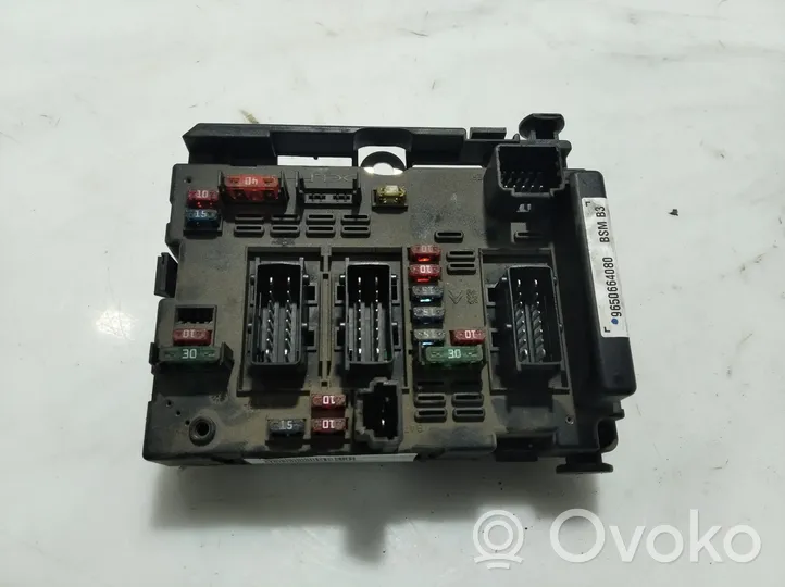 Peugeot 307 Module de fusibles 9650664080