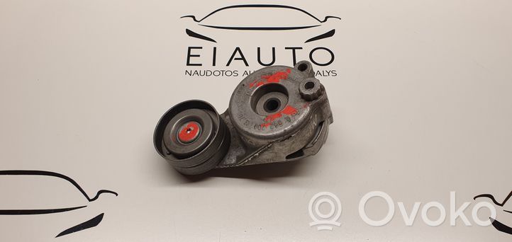 Mercedes-Benz E AMG W212 Napinacz paska wielorowkowego / Alternatora A6422001370