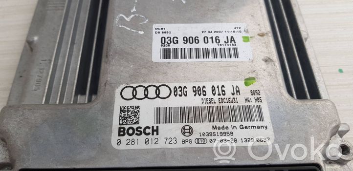 Audi A4 S4 B7 8E 8H Engine control unit/module 03G906016JA