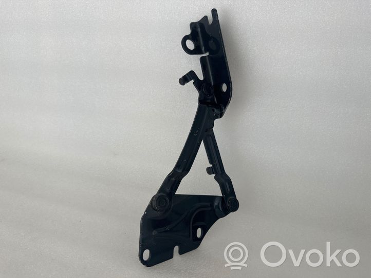 Volkswagen Golf Plus Cerniere del vano motore/cofano 5M0823302