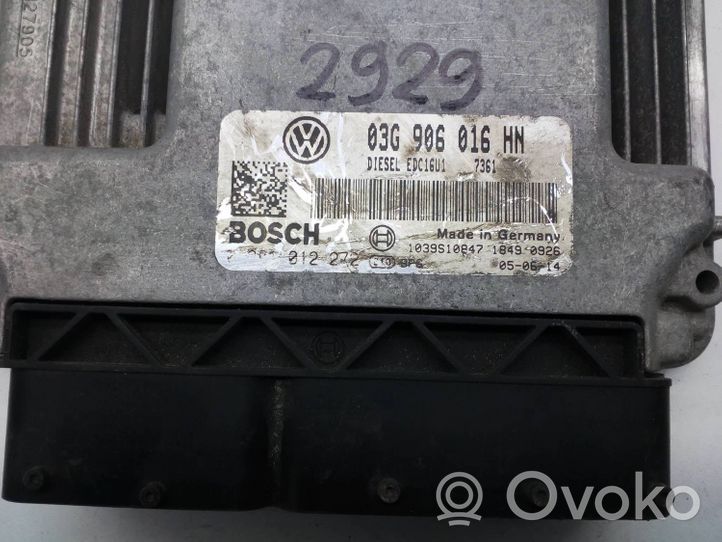 Volkswagen Caddy Moottorin ohjainlaite/moduuli 03G906016HN
