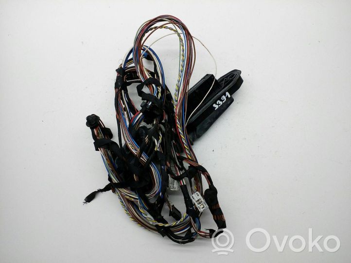 BMW X3 F25 Rear door wiring loom 9243664