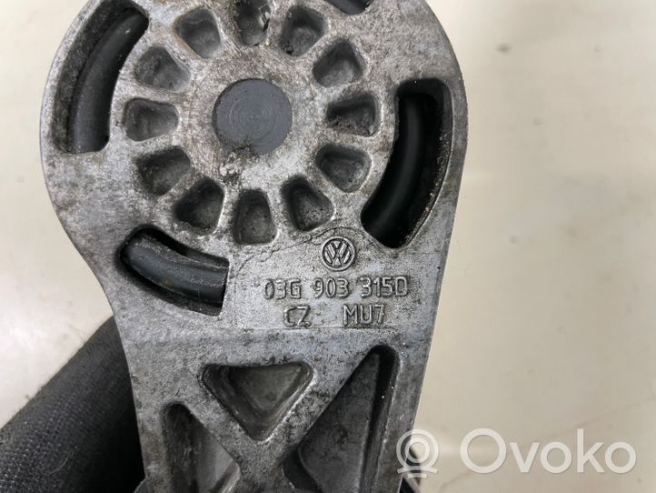 Volkswagen Golf V Galet tendeur de la courroie d'alternateur 03G9033150
