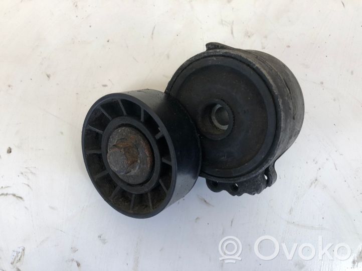 Ford S-MAX Alternator belt tensioner 