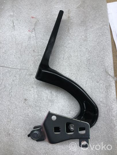 Tesla Model Y Cerniere del vano motore/cofano 149626800C