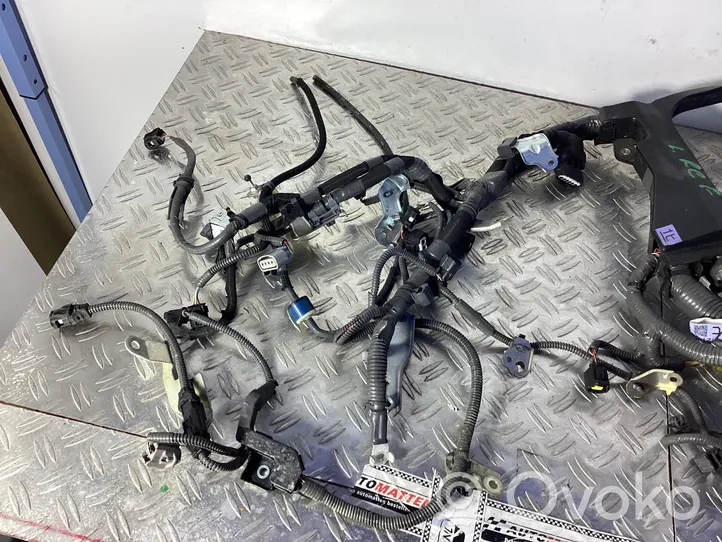 Lexus RC Faisceau de câblage pour moteur 8212124860F1