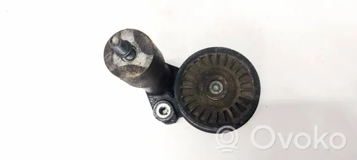 Volkswagen PASSAT B5.5 Napinacz paska alternatora 038145283