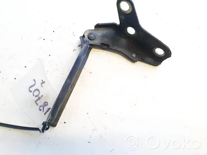 Volkswagen Polo IV 9N3 Cerniere del vano motore/cofano 6q08233021