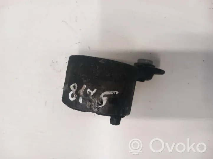 Fiat Punto (188) Generator/alternator belt tensioner 