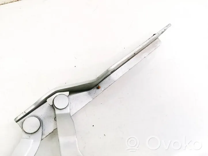 Volkswagen PASSAT B7 Engine bonnet/hood hinges 3AA823301