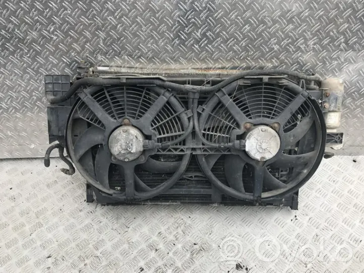 Renault Laguna I Radiatore di raffreddamento A/C (condensatore) 