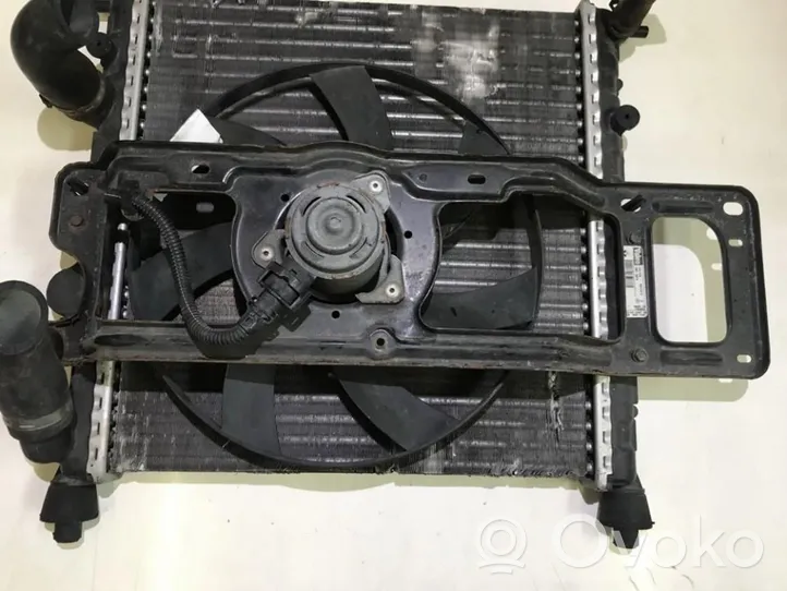 Renault Clio III Kale ventilateur de radiateur refroidissement moteur 