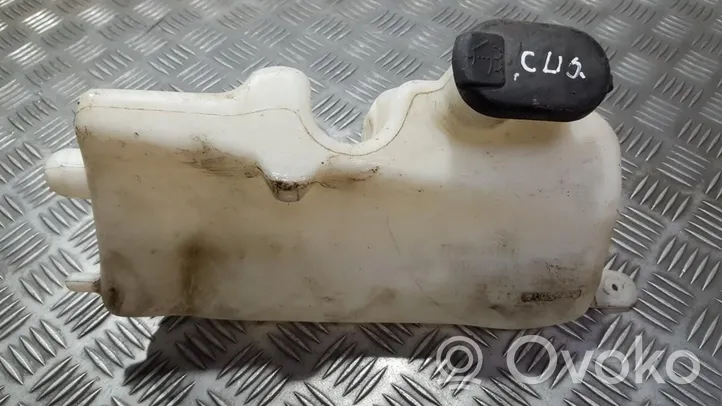 Renault Clio III Réservoir de liquide lave-glace 7700847815