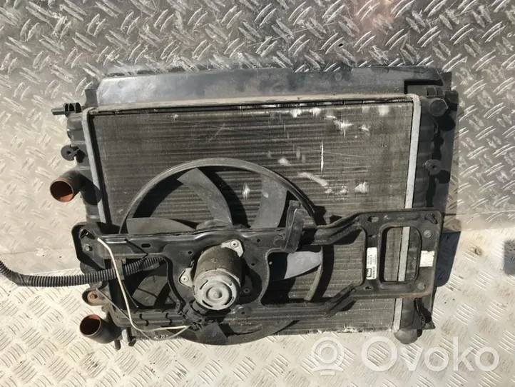 Renault Kangoo I Dzesēšanas šķidruma radiators 7700836301g