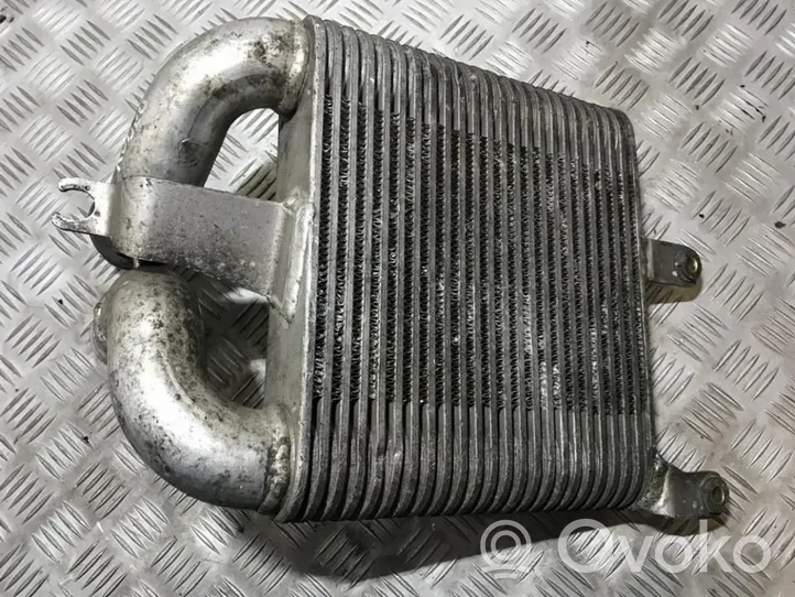 Isuzu Rodeo Chłodnica powietrza doładowującego / Intercooler 3973750150