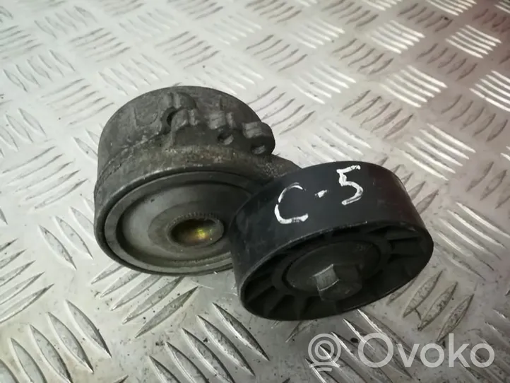 Citroen C5 Tendicinghia generatore/alternatore 